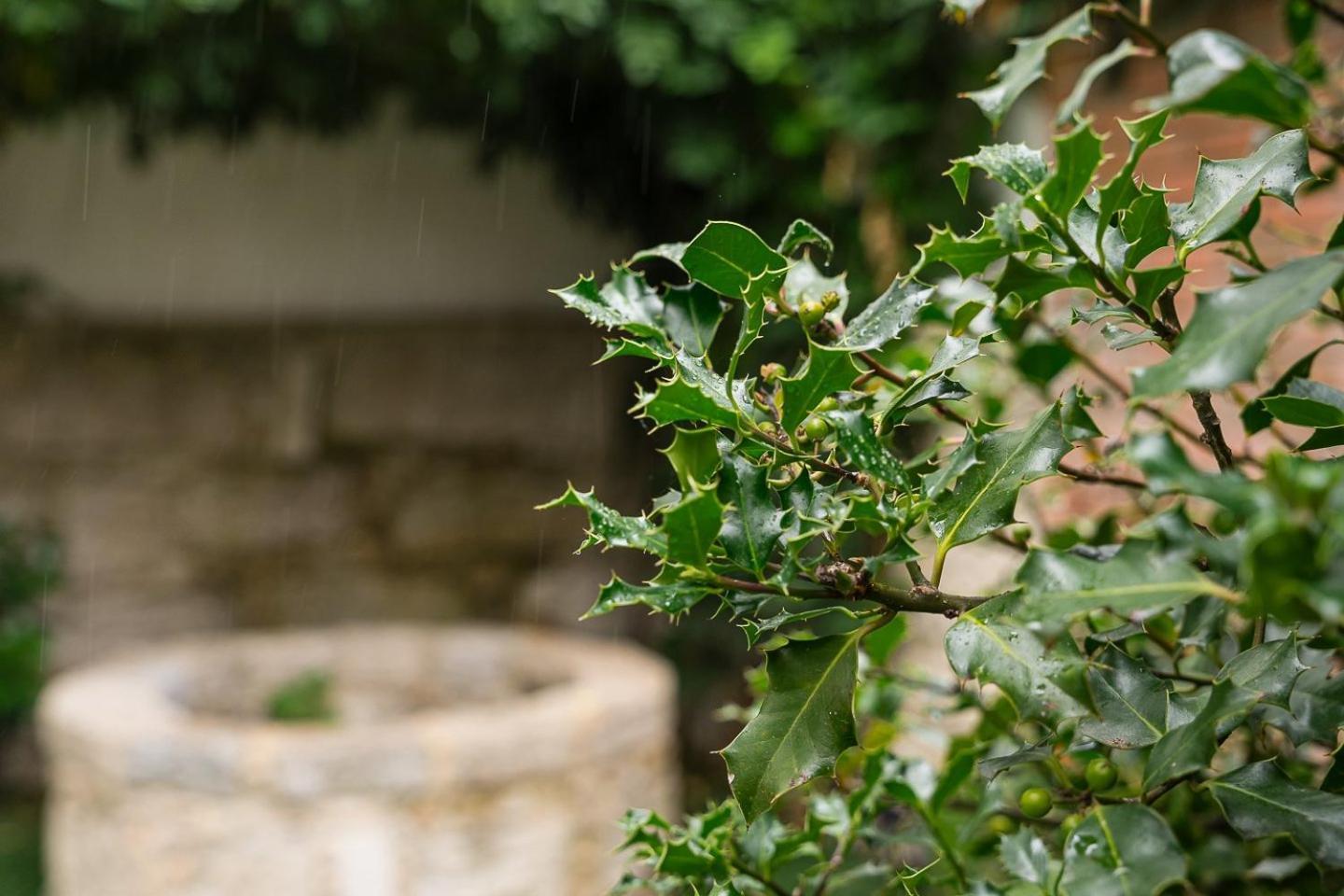 Guestready - Magnolia Studios & Apartments Porto Zewnętrze zdjęcie